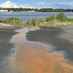 Жители Долгопрудного получили доказательства загрязнения Клязьминского водохранилища Жители Долгопрудного получили доказательства загрязнения Клязьминского водохранилища